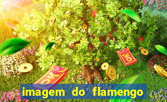 imagem do flamengo para perfil